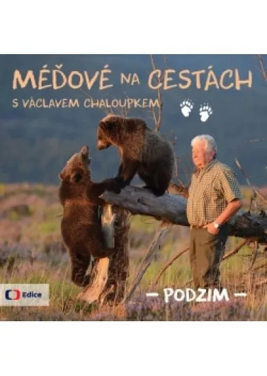 Méďové na cestách PODZIM