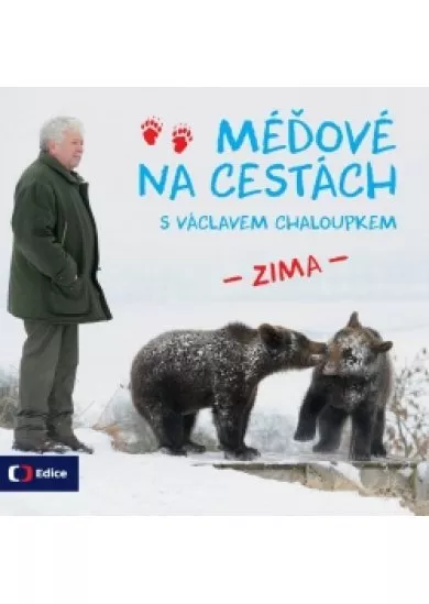 Méďové na cestách ZIMA