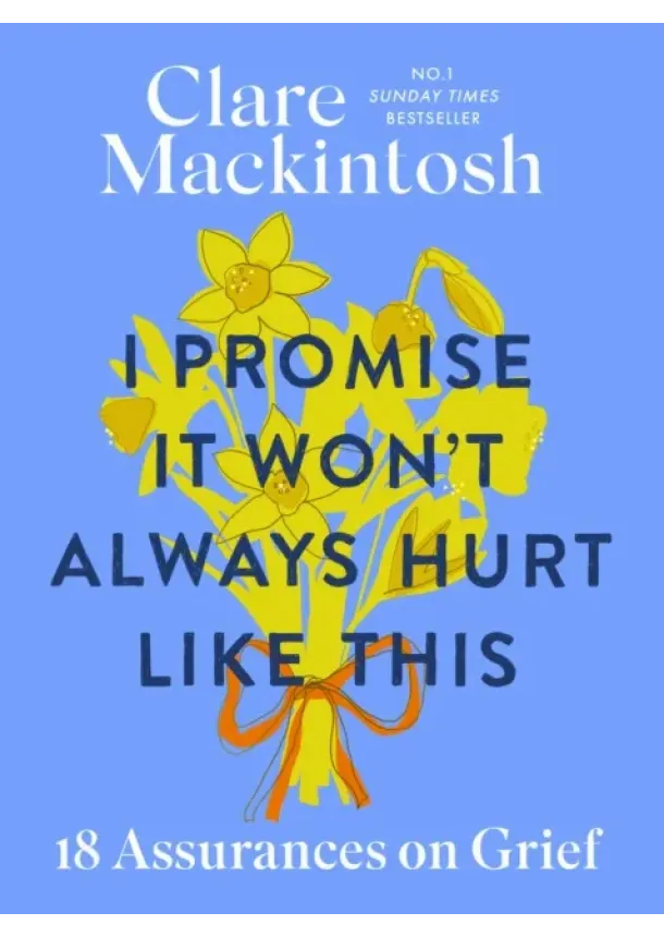Clare Mackintosh - I Promise It Won't Always Hurt Like This