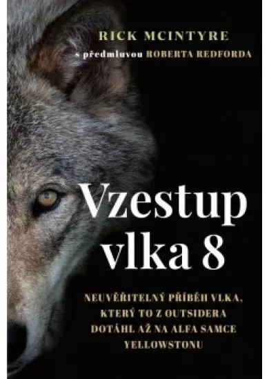 Vzestup vlka 8 - Neuvěřitelný příběh vlka, který to z outsidera dotáhl až na alfa samce Yellowstonu