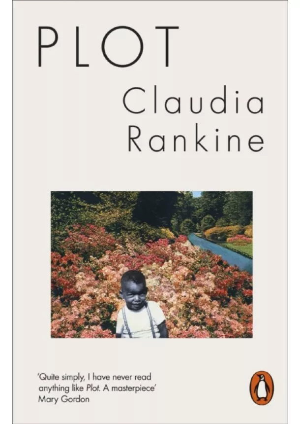 Claudia Rankine - Plot