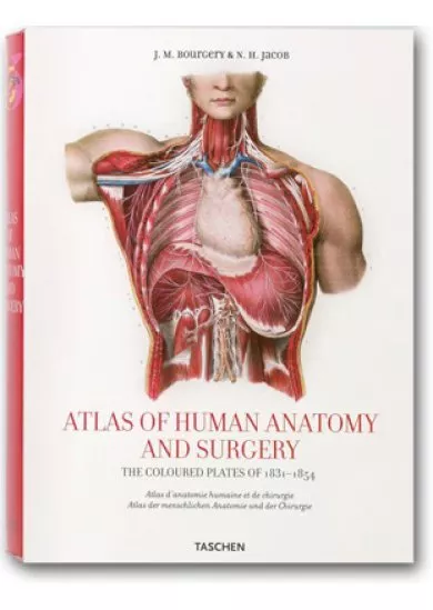 Atlas Anatomy Bourgery 25 fp