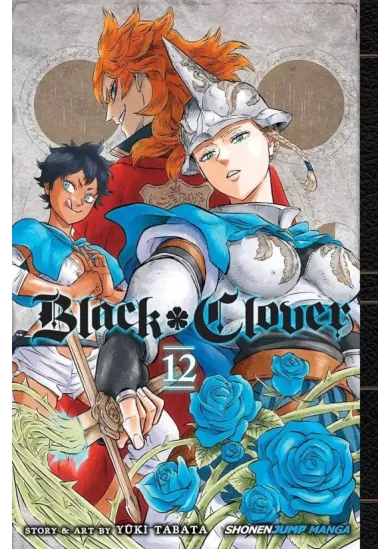 Black Clover 12