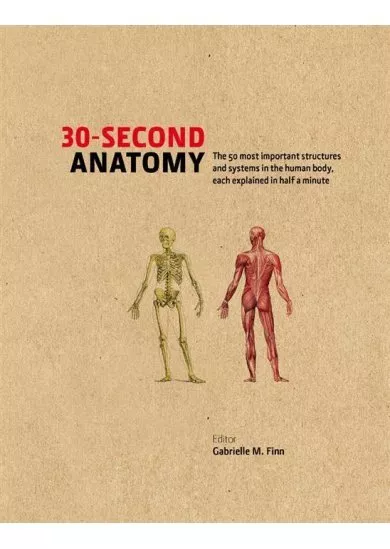 30 Second Anatomy