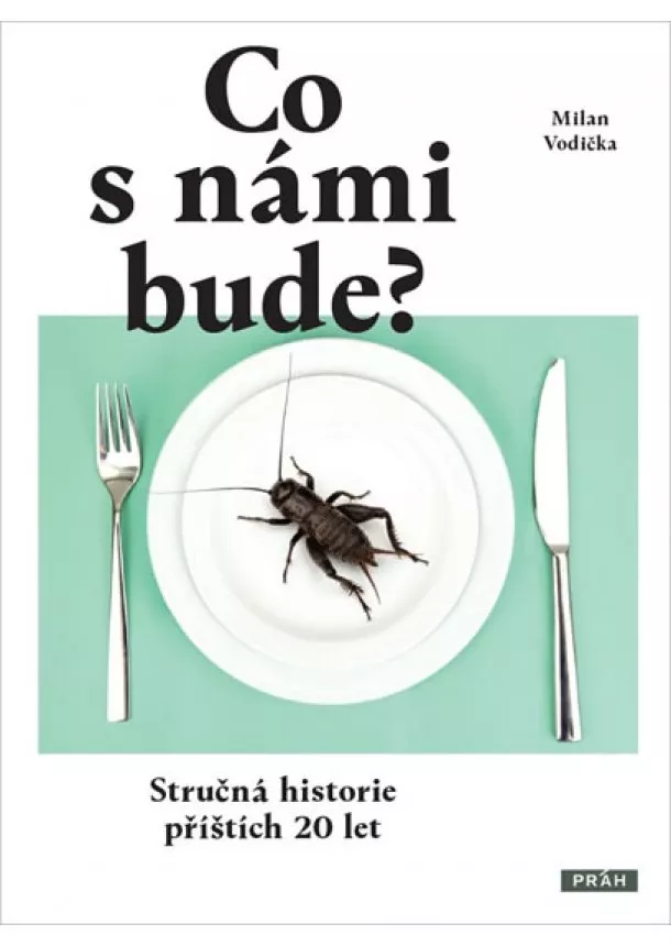 Milan Vodička - Co s námi bude? - Stručná historie příštích 20 let