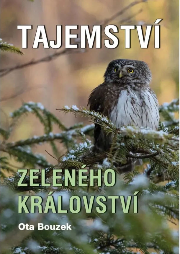 Ota Bouzek - Tajemství zeleného království