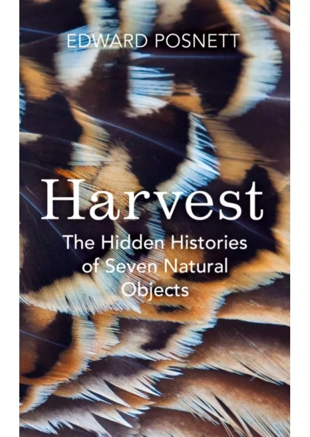 Edward Posnett - Harvest