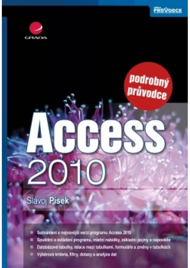 Písek Slavoj - Access 2010