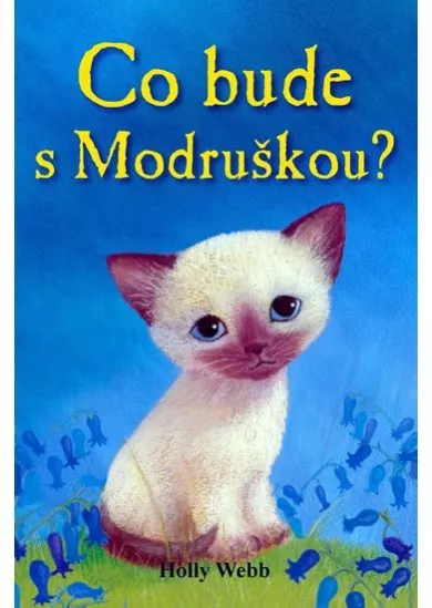 Co bude s Modruškou?