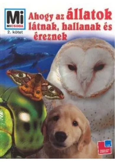 AHOGY AZ ÁLLATOK LÁTNAK, HALLANAK ÉS ÉREZNEK