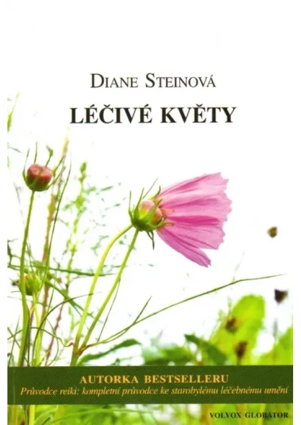 Diane Steinová - Léčivé květy