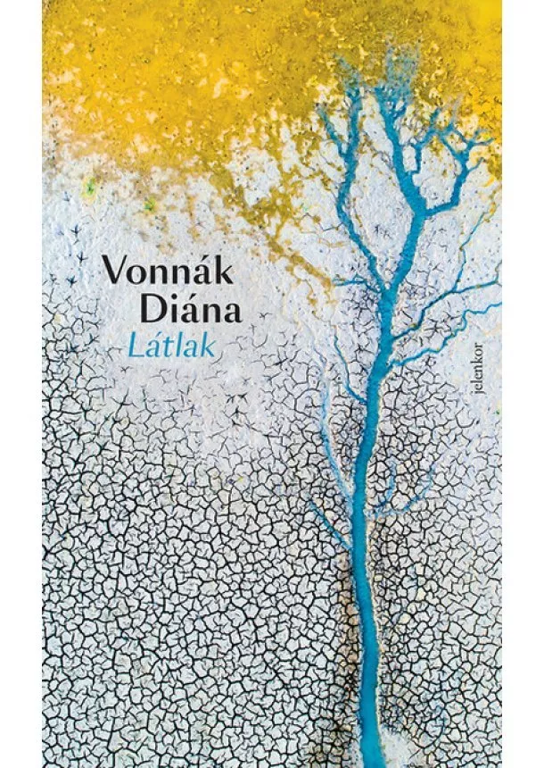 Vonnák Diána - Látlak