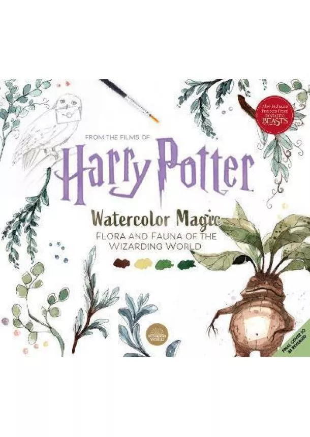 Tugce Audoir - Harry Potter Watercolour Wizardry