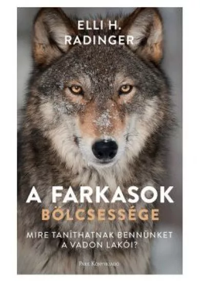 A farkasok bölcsessége - Mire taníthatnak bennünket a vadon lakói?