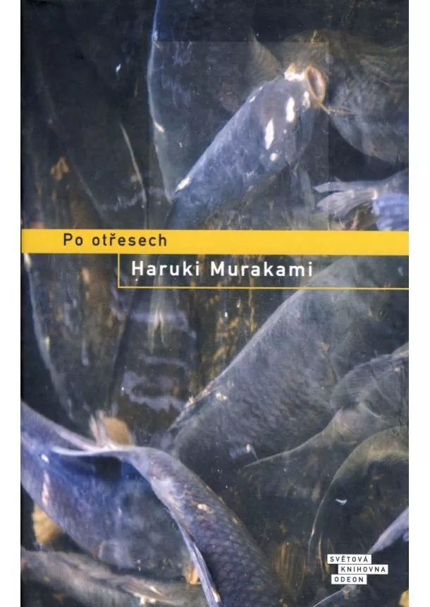 Haruki Murakami - Po otřesech