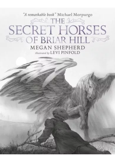 The Secret Horses of Briar Hill