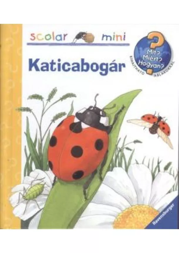 ANDREA ERNE - KATICABOGÁR - MIT? MIÉRT? HOGYAN?