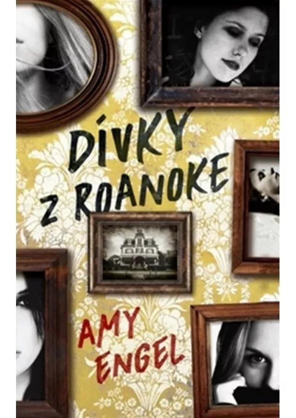Amy Engel - Dívky z Roanoke
