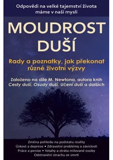 Vnitřní zranění v práci - Jak dosáhnout rovnováhy mezi profesionálním a osobním životem