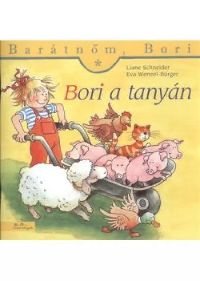 BORI A TANYÁN
