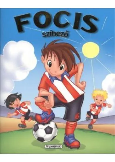 FOCIS SZÍNEZŐ