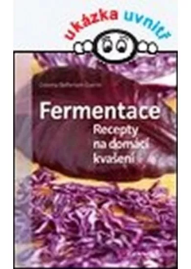 Fermentace - Recepty na domácí kvašení