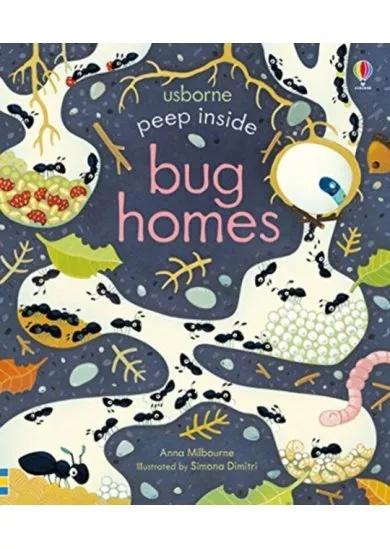 Peep Inside Bug Homes