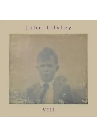 John Illsley:  VIII