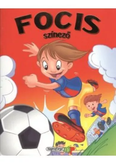 FOCIS SZÍNEZŐ