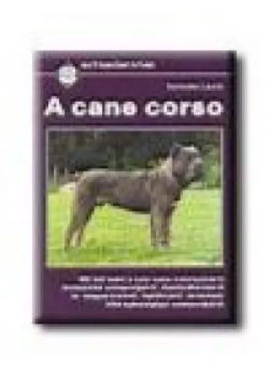 A CANE CORSO