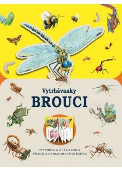 Vytrhávanky - Brouci