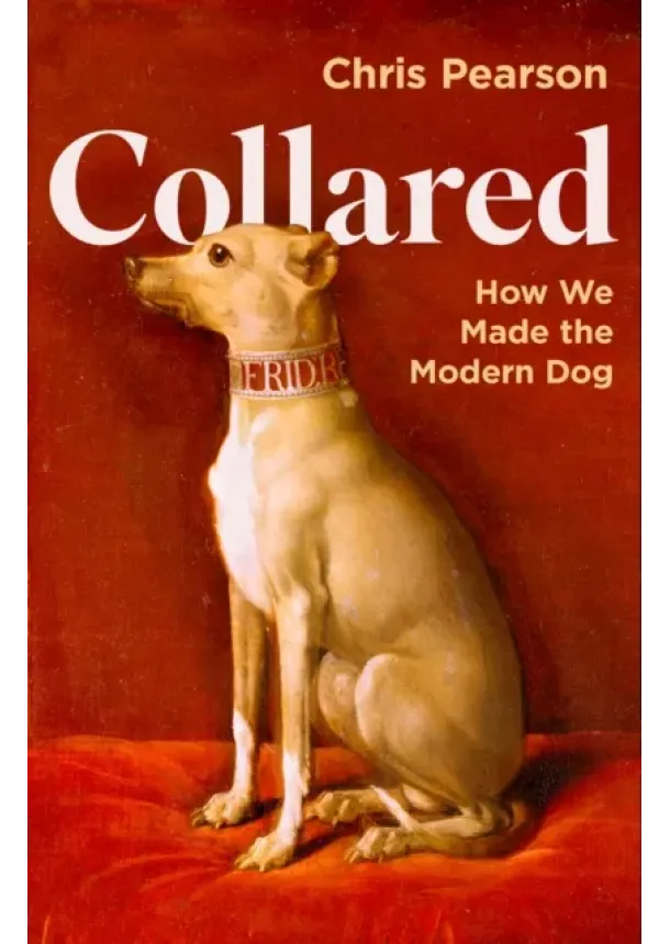 Chris Pearson - Collared