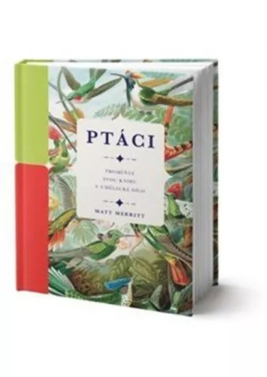 Ptáci