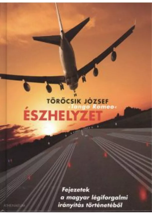 TÖRŐCSIK JÓZSEF - ÉSZHELYZET