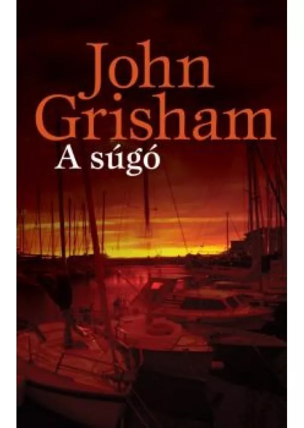 JOHN GRISHAM - A SÚGÓ
