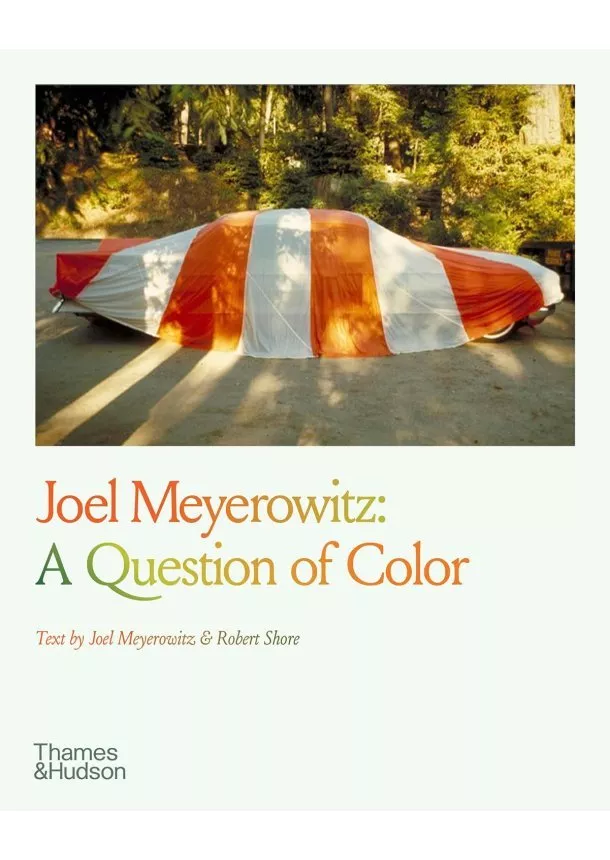 Joel Meyerowitz: A Question of Colour