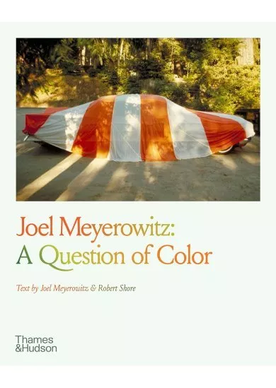 Joel Meyerowitz: A Question of Colour