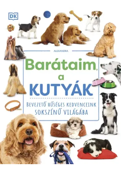 Barátaim, a kutyák
