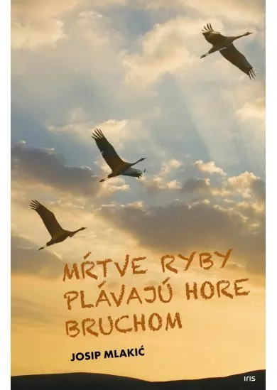 Mŕtve ryby plávajú hore bruchom
