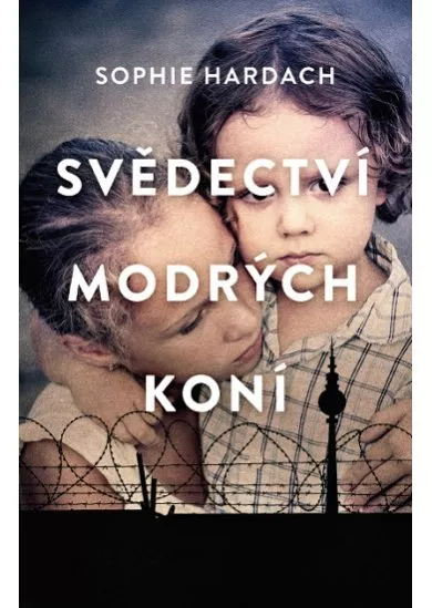 Svědectví modrých koní