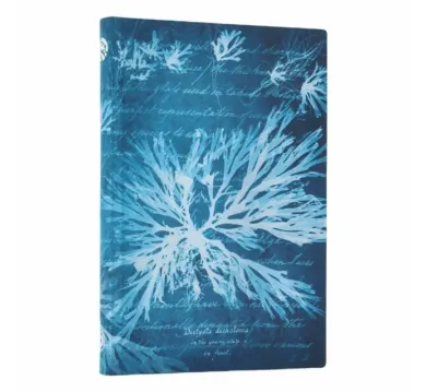 Sea Flowers Mini Lined