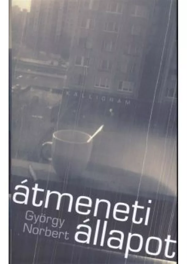 György Norbert - ÁTMENETI ÁLLAPOT