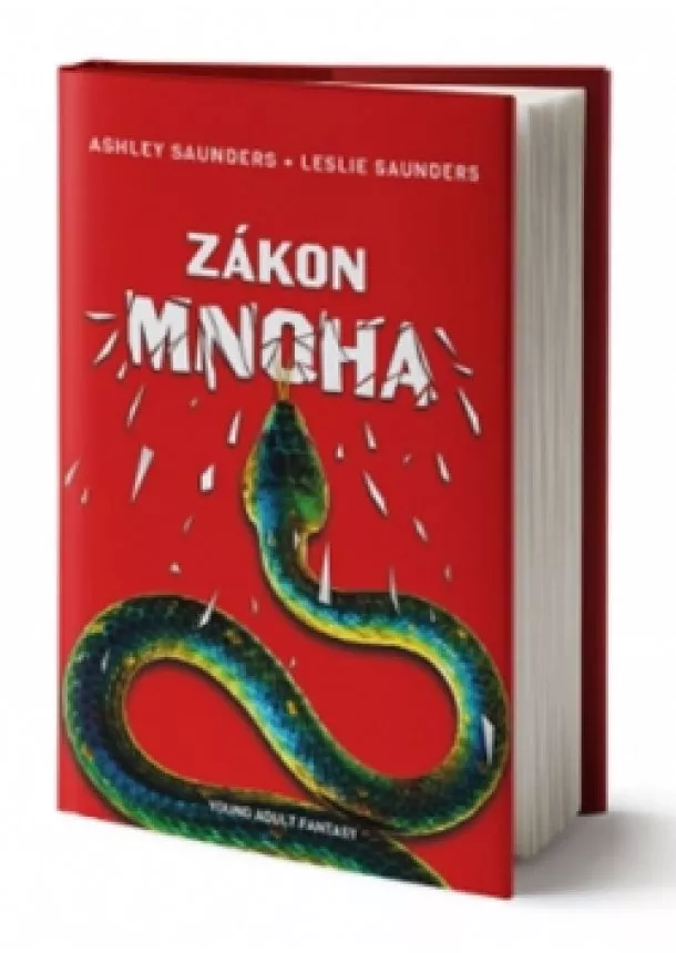 Ashley Saunders - Zákon mnoha