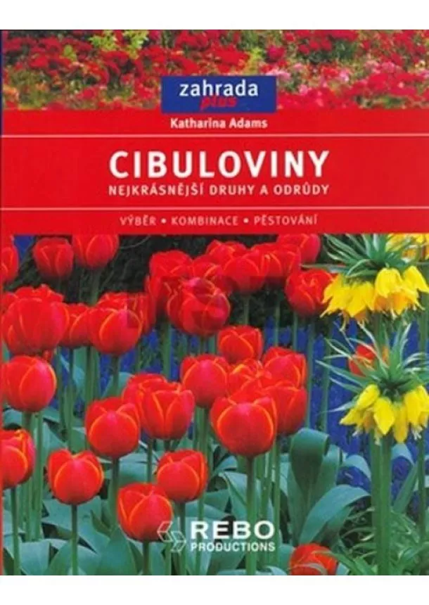 Adams Katharina - Cibuloviny- zahrada plus