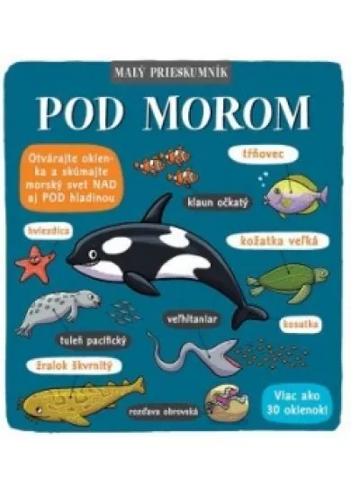 Malý prieskumník – Pod morom