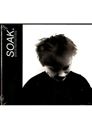 Soak:  Before We Forgot How T. Dream