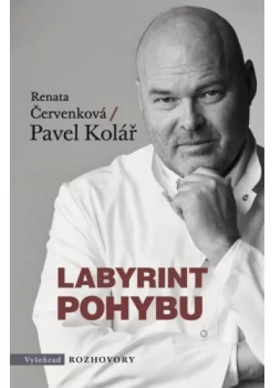 Labyrint pohybu