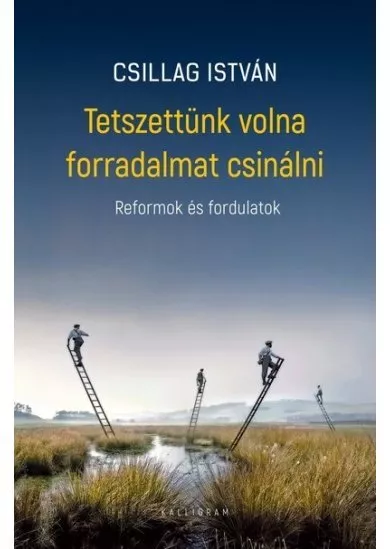 Tetszettünk volna forradalmat csinálni - Reformok és fordulatok