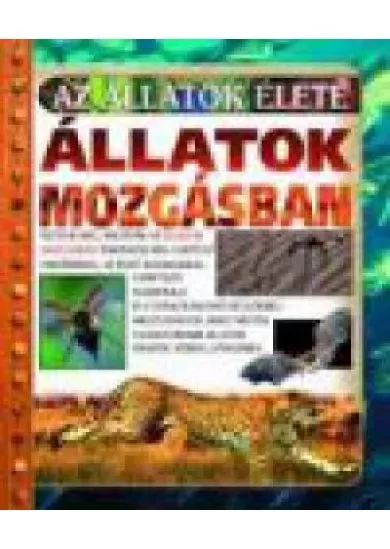 ÁLLATOK MOZGÁSBAN