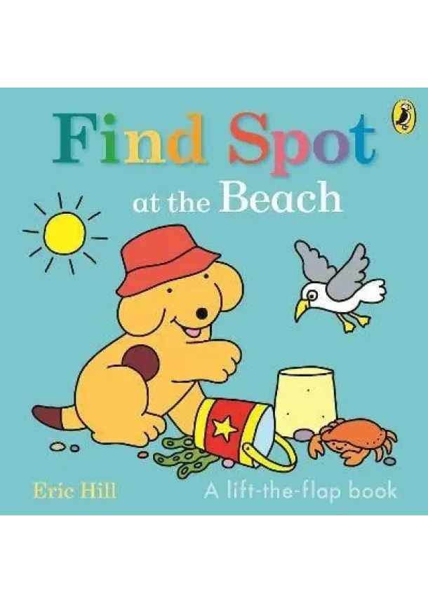 Find Spot at the Beach